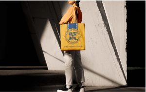 疆宝品牌视觉全案设计方案_35
