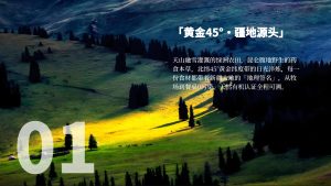 疆宝的谢礼策略整合20250612_09